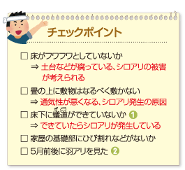 チェックポイント:
□ 床がフワフワとしていないか⇒土台などが腐っている、シロアリの被害が考えられる
□ 畳の上に敷物はなるべく敷かない⇒通気性が悪くなる、シロアリ発生の原因
□ 床下に蟻道ができていないか(1)⇒できていたらシロアリが発生している
□ 家屋の基礎部にひび割れなどがないか
□ 5月前後に羽アリを見た(2)